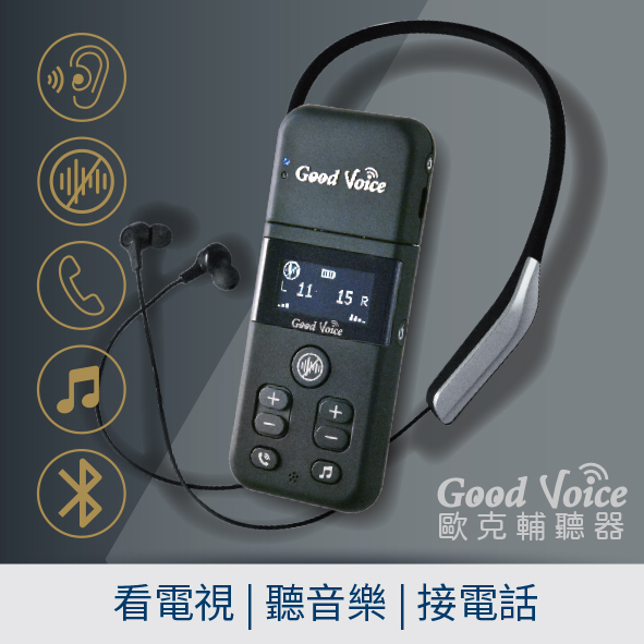 歐克輔聽器 GV-SA03